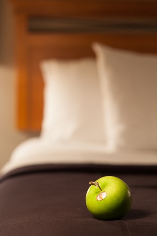Royal Hotel Calgary, Trademark Collection by Wyndham , AB T2E 8T4 near Calgary International Airport View Point 4