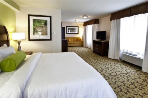 Hilton Garden Inn New York/Staten Island , NY 10314 near Newark Liberty International Airport View Point 65