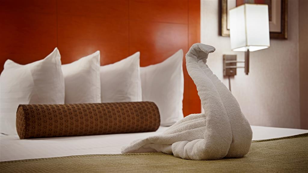 Courtyard by Marriott San Antonio Airport , TX 78217 near San Antonio International Airport View Point 36