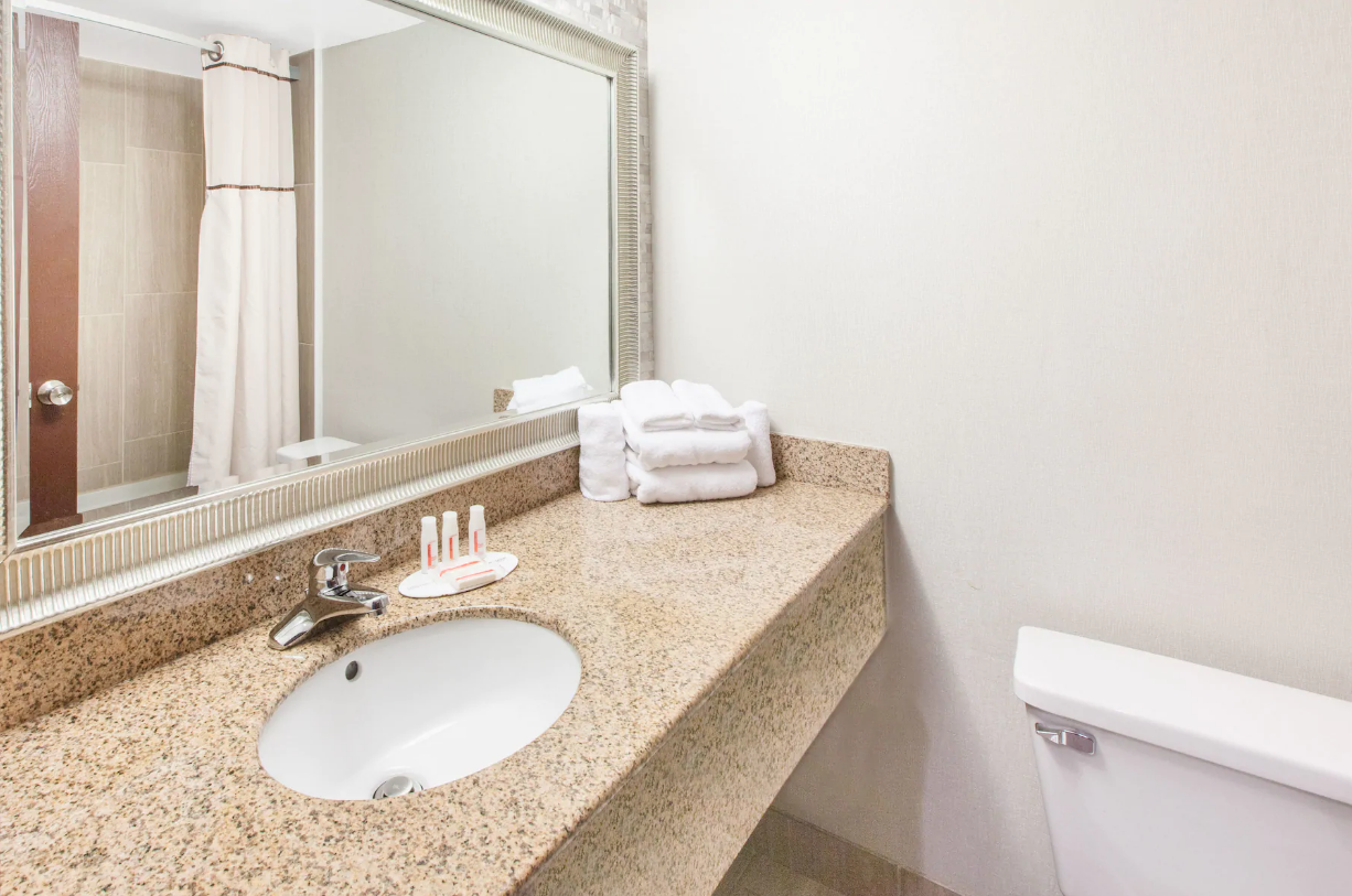 Wingate by Wyndham Detroit Metro Airport , MI 48174 near Detroit Metropolitan Wayne County Airport View Point 6
