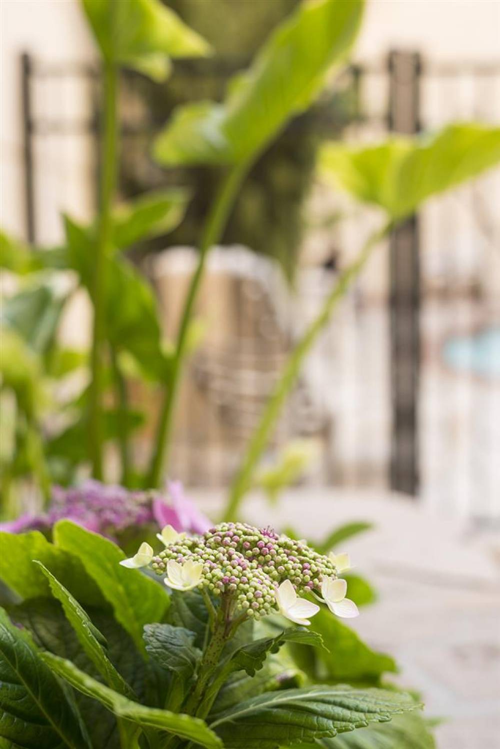 Ayres Hotel Manhattan Beach 7